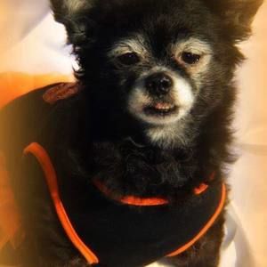 Meet your Posher, Jaden